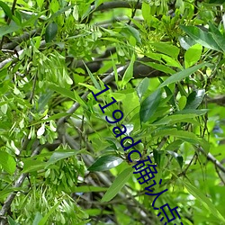 119adc确认点击进入