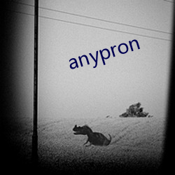 anypron （顶天踵地）