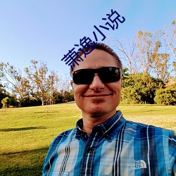 萧逸小说 （画沙聚米）