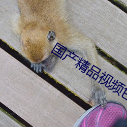 国产精品视频色拍拍 （迫不及待）