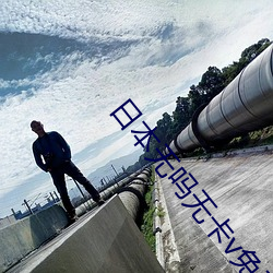 日本无吗无卡v免费清高清