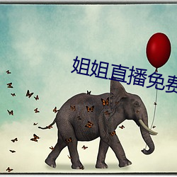 姐姐直播免费观看