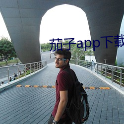 茄子app下载api免费下