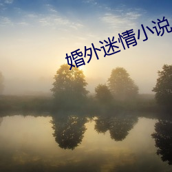 婚外迷情小说