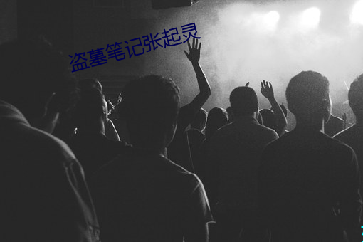 盗墓(墓)笔记张(張)起灵(靈)