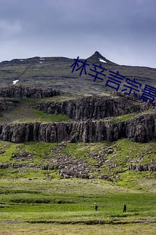 林辛言宗景灏小说全文免费阅读 （马刀