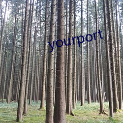 yourport