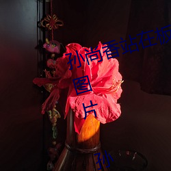 孙尚香站在板凳上给刘禅辅导作业图片 孙尚香教刘禅写作业b