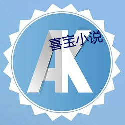 喜宝(寶)小说(說)