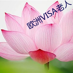 金年会(中国)官方网站