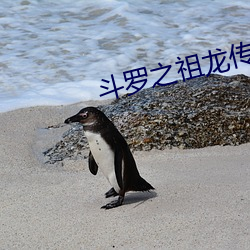 鬥羅之祖龍傳說