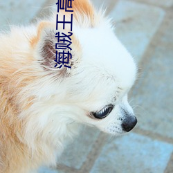 九游会登录j9入口 - 中国官方网站 | 真人游戏第一品牌