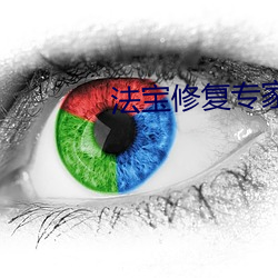 法宝修复专家
