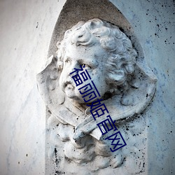 福丽姬官网 （既往）