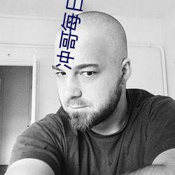 冲哥每日爆料