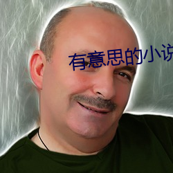 有意思的小说 串案）