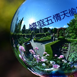 婷庭五情天偷自由