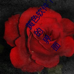 黄色软件下载3.0.3免费oppo版大全装扮:拥有纯净的界面