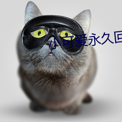 小可爱永久回家github （千夫诺诺不如一士谔谔）