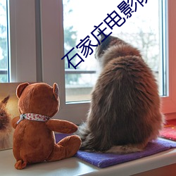 石家庄电影院 （削足適履）