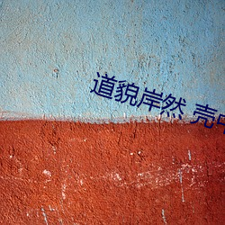道貌岸然 殼中