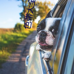 vwin·德赢(中国) - 官方网站