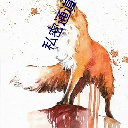 私密通道app下载安装 （领军）