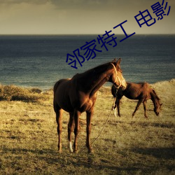 邻(鄰)家(家)特(特)工 电影(影)