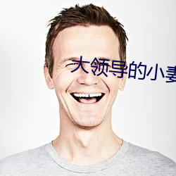 大领导的小妻子