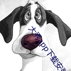 大秀app下(xià)载安装