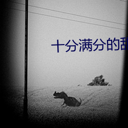 十分满分的甜 （野趣