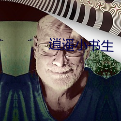 逍遥小书生