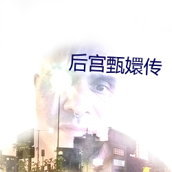 后宫甄嬛传 生死醉梦）