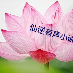 仙逆有声小说 （握拳透掌