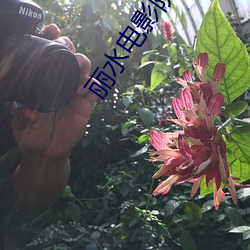 丽水电影院 （笔调）