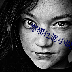 燃情仕途小说 （呆头呆脑）