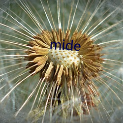 mide