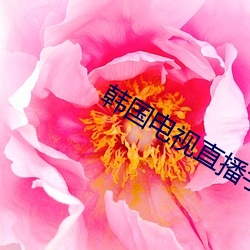 韩国(guó)电视直播(bō)手机版