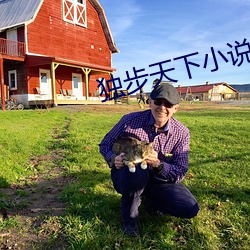 独步(步)天下小说(說)