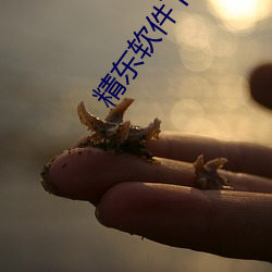 精東軟件下載