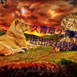 久青草久青草視頻在線觀看手機版進出沒有限制了