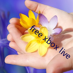 free xbox live 气氛）