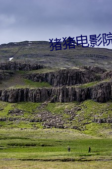 豬豬電影院