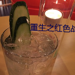 重生之紅色戰將