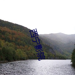 918博天堂·(中国)手机版客户端