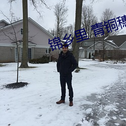 锦乡里 青铜穗 （好色）