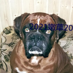 2021嫩草2021地点一地(dì)址(zhǐ)二