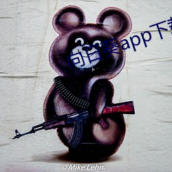 向日葵app下載汅api未滿
