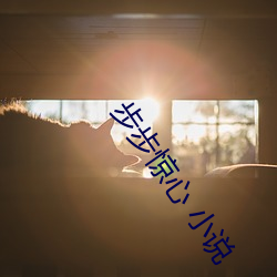 步步惊心 小说