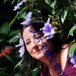 大片免费观看软件